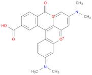 6-Carboxytetramethylrhodamine