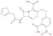 CENTA(TM) β-LACTAMASE SUBSTRATE