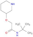 N-TERT-BUTYL-2-(PIPERIDIN-3-YLOXY)-ACETAMIDE