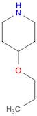 4-PROPOXY-PIPERIDINE