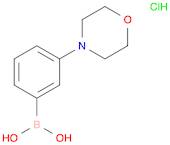 3-(Morpholino)phenylboronic acid hydrochloride