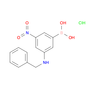 3-(BENZYLAMINO)-5-NITROBENZENEBORONIC ACID HYDROCHLORIDE 95