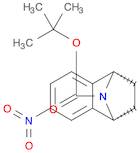 6-NITRO-(1S,4R)-1,2,3,4-TETRAHYDRO-1,4-EPIAZANO-NAPHTHALENE-9-CARBOXYLIC ACID TERT-BUTYL ESTER