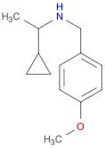 (1-cyclopropylethyl)[(4-methoxyphenyl)methyl]amine