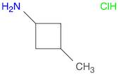 3-Methylcyclobutanamine hydrochloride