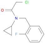 2-CHLORO-N-CYCLOPROPYL-N-(2-FLUOROBENZYL)ACETAMIDE