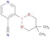 4-Cyanopyridine-3-boronic acid neopentyl glycol ester