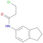 3-CHLORO-N-2,3-DIHYDRO-1H-INDEN-5-YLPROPANAMIDE