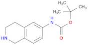 (1,2,3,4-TETRAHYDRO-ISOQUINOLIN-6-YL)-CARBAMIC ACID TERT-BUTYL ESTER