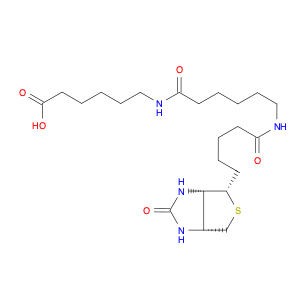 LC-LC(+)-Biotin