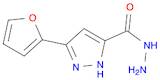 3-(2-FURYL)-1H-PYRAZOLE-5-CARBOHYDRAZIDE