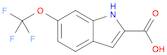 6-(TRIFLUOROMETHOXY)-1H-INDOLE-2-CARBOXYLIC ACID