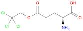 L-GLUTAMIC ACID γ-(2,2,2-TRICHLOROETHYL) ESTER