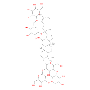 Notoginsenoside Fa