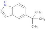 5-(tert-Butyl)-1H-indole