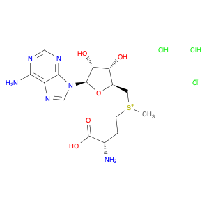 S-(5'-Adenosyl)-L-Methionine chloride dihydrochloride