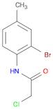 N-(2-BROMO-4-METHYL-PHENYL)-2-CHLORO-ACETAMIDE