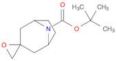 tert-butyl 8-azaspiro[bicyclo[3.2.1]octane-3,2'-oxirane]-8-carboxylate