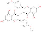 ChaMaejasMenin B