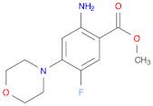 Methyl 2-AMino-5-fluoro-4-Morpholinobenzoate