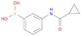 B-[3-[(cyclopropylcarbonyl)amino]phenyl]boronic acid