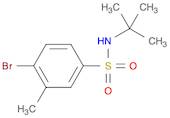 4-Bromo-N-tert-butyl-3-methylbenzenesulfonamide