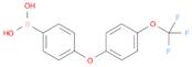 {4-[4-(Trifluoromethoxy)phenoxy]phenyl}boronic acid