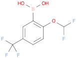 2-DIFLUOROMETHOXY-5-TRIFLUOROMETHYL-BENZENEBORONIC ACID