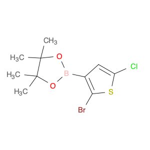 2-(2-Bromo-5-chlorothiophen-3-yl)-4,4,5,5-tetramethyl-1,3,2-dioxaborolane