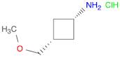 cis-3-(methoxymethyl)cyclobutan-1-aminehydrochloride