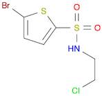 5-bromo-N-(2-chloroethyl)thiophene-2-sulfonamide