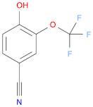 4-Hydroxy-3-(trifluoromethoxy)benzonitrile