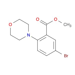Methyl 5-bromo-2-morpholinobenzoate