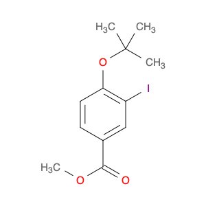 Methyl 4-(tert-butoxy)-3-iodobenzoate