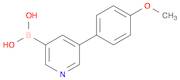 5-(4-Methoxyphenyl)pyridin-3-ylboronic Acid