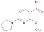 2-Methoxy-6-(pyrrolidin-1-yl)nicotinic acid