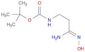 tert-butyl [(3Z)-3-amino-3-(hydroxyimino)propyl]carbamate