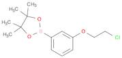 3-(2-Chloroethoxy)phenylboronic acid, pinacol ester