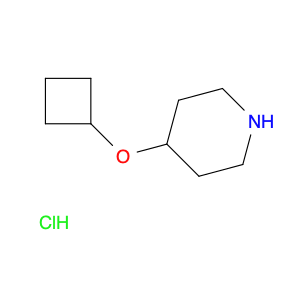 4-Cyclobutoxypiperidine-Hcl