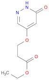 Ethyl 3-((6-oxo-1,6-dihydropyridazin-4-yl)oxy)propanoate