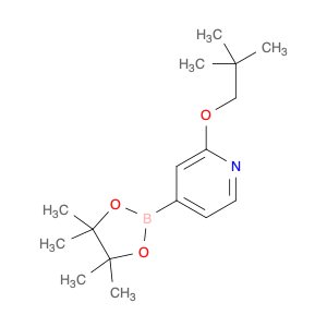 2-(2,2-Dimethyl-propoxy)-4-(4,4,5,5-tetramethyl-[1,3,2]dioxaborolan-2-yl)-pyridine