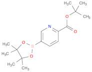 tert-Butyl 5-(4,4,5,5-tetramethyl-1,3,2-dioxaborolan-2-yl)picolinate