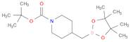 tert-Butyl 4-((4,4,5,5-tetramethyl-1,3,2-dioxaborolan-2-yl)methyl)piperidine-1-carboxylate