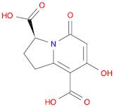 7-Hydroxy-5-oxo-1,2,3,5-tetrahydroindolizine-3,8-dicarboxylic acid