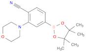 4-Cyano-3-morpholinophenylboronic acid pinacol ester