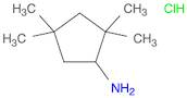 2,2,4,4-Tetramethylcyclopentanamine hydrochloride