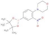 4-[2-Nitro-4-(tetramethyl-1,3,2-dioxaborolan-2-yl)phenyl]morpholine