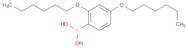 2,4-Dihexyloxybenzeneboronic acid