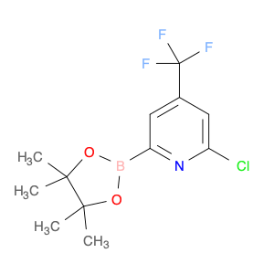 2-Chloro-4-(trifluoromethyl)pyridine-2-boronic acid pinacol ester