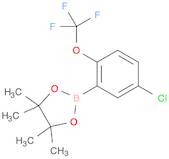 5-Chloro-2-(trifluoromethoxy)phenylboronic acid, pinacol ester